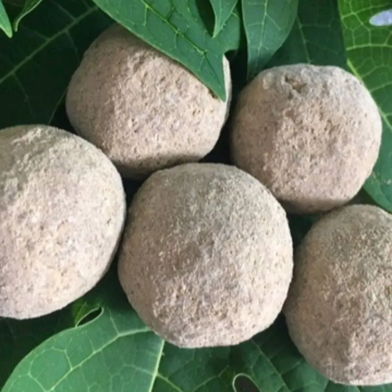15 Butir Tanah Liat Bulat penghilang rasa pahit daun pepaya 1