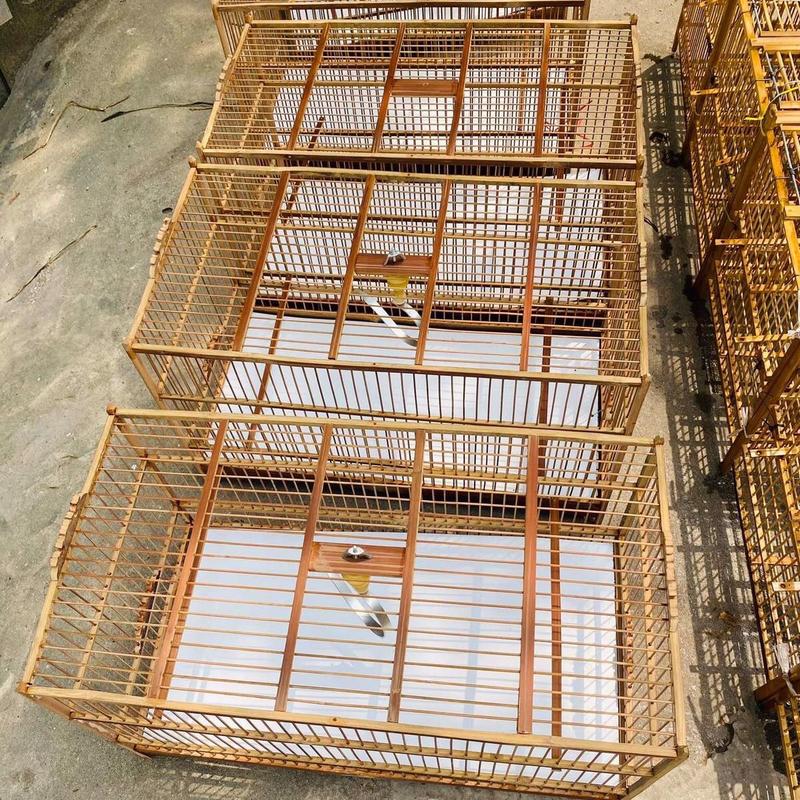  ￼khung lồng tập lực nan trúc -cap Kích thước: dài-rộng-cao: 50-25-30 Nuôi chim khuyên hoàng yến hút mật 