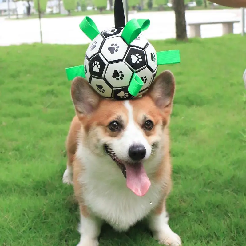 Dog Chew Toy with Built-in Strap, Bite Resistant Dog Teething Toy, Pet Interactive Balls, Dogs & Cats Accessories 2