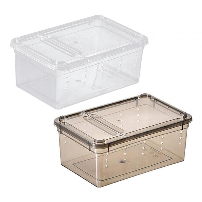 Reptile Feeding Box Durable Snake Breeding Box for Scorpion Beetle ...