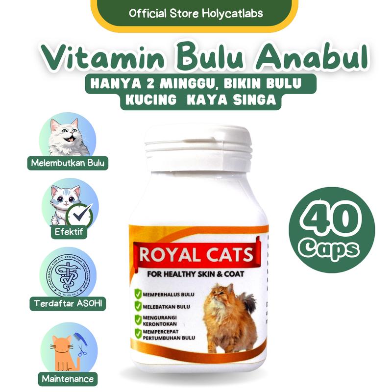 Holycatlabs Paket Vitamin Kucing Gemuk Bulu Gondrong ala LEO KUCING 2