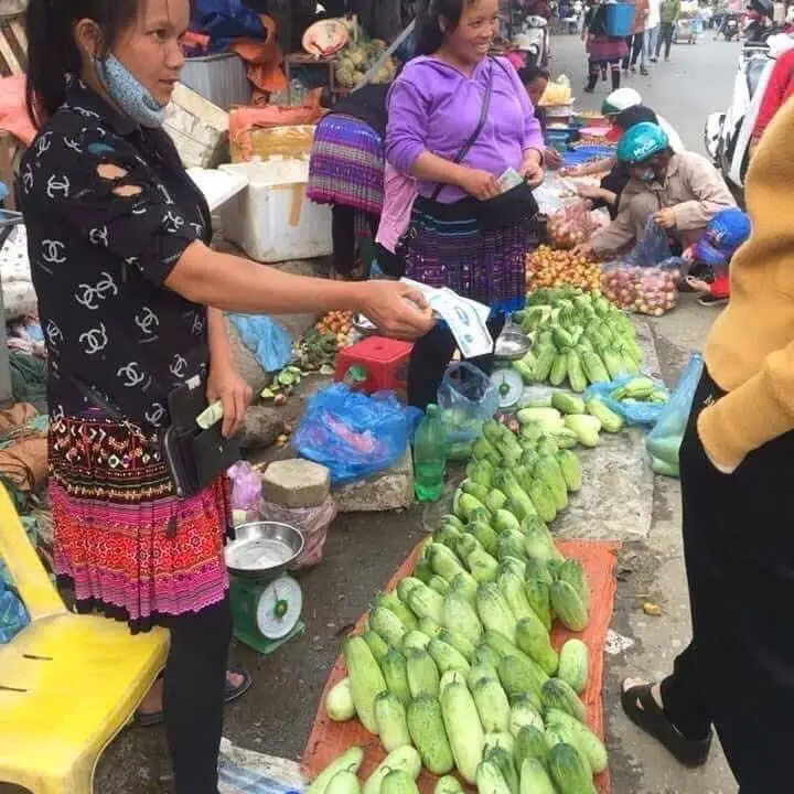 Hạt Giống Dưa Chuột Mèo Tây Bắc 4