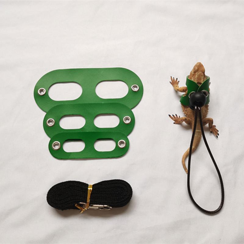 Product Introduction of 2025 Reptile Pet Lizard Leash with Wings Squirrel Harness Chinchilla Leash Green Gecko Lizard Guinea Pig Outdoor Leash 18