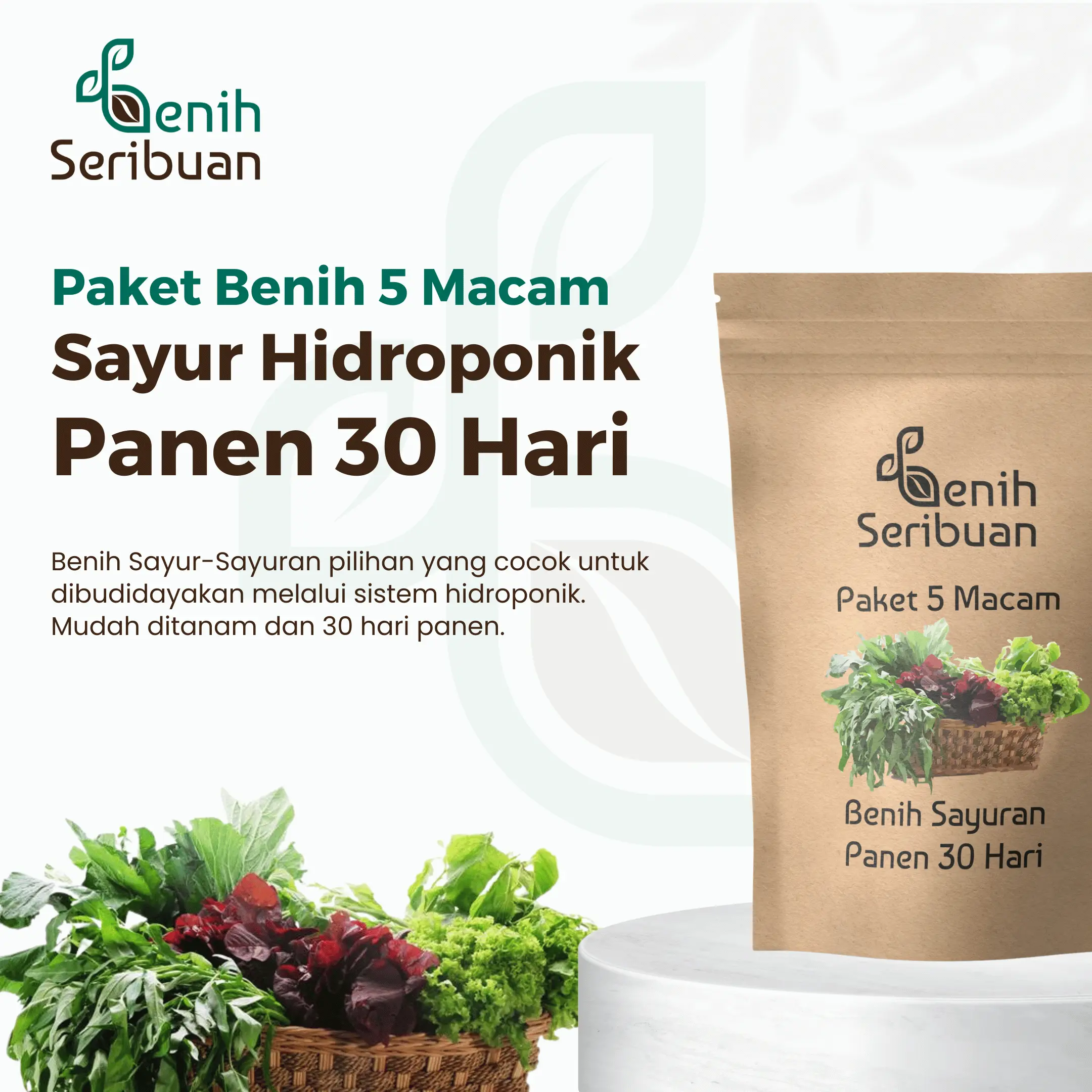Paket 5 Macam Benih Sayuran Daun 30 Hari Panen Seribuan Bayam Kangkung Sawi Pakcoy Selada Benih Tanaman Sayur