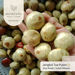 Jengkol tua super pulen sudah dikupas siap masak