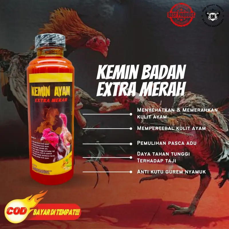 PAKET MAKSIMAL BN perlengkapan kebutuhan ayam siap adu jamu ayam ekstra fooding kemin kaki getah gambir badan obat cacing ganas merah merona agresif 4