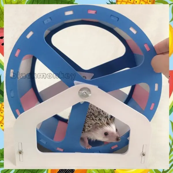 Happy Circus Running Wheel Small Pet Fitness Ball Hedgehog Running Wheel Hedgehog Toy