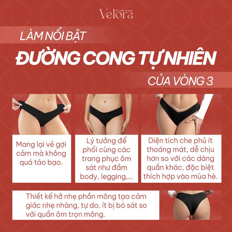 Product Introduction of [Combo 5 ] Quần Lót Su Cheeky Tam Giác Mỏng Nhẹ, Thoáng Mát, Không Viền, Đàn Hồi Thoải Mái - VELORA Nữ Women 3