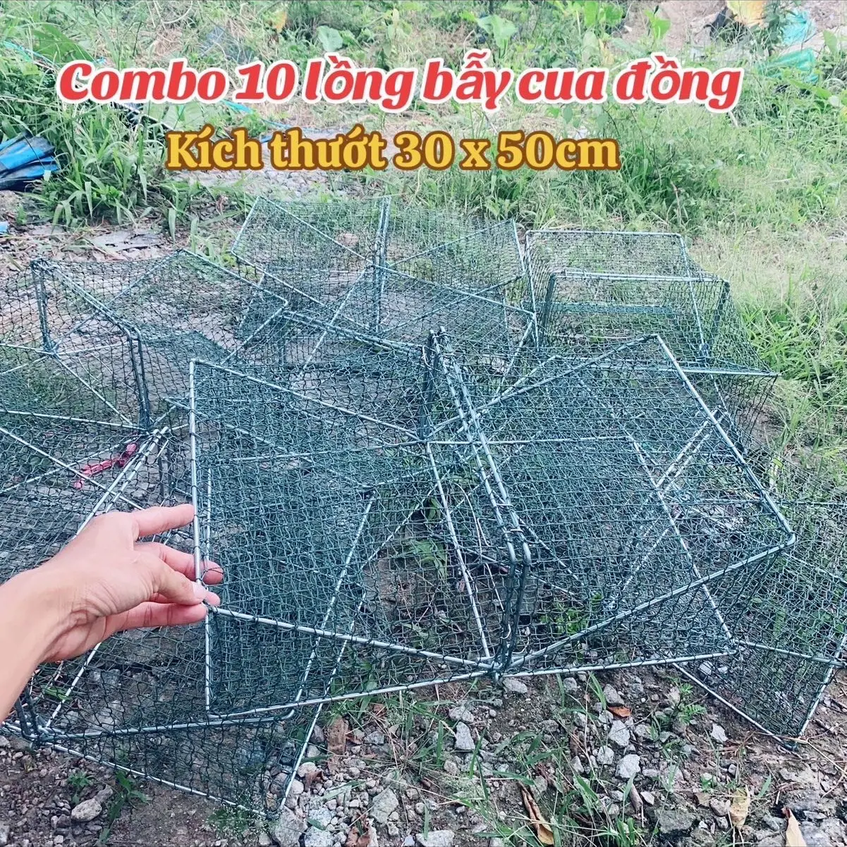 Combo 10 lồng bẫy cua đồng kích thướt 30 x 50cm, mắt lưới 3p lưới cao chỉ độ 9 Fishing