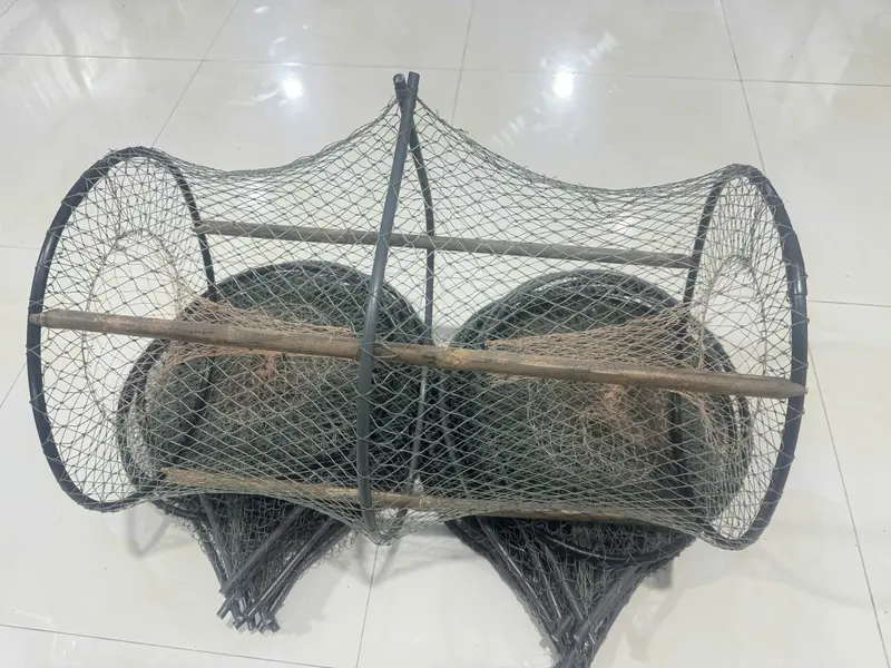 COMBO 20c LỜ CÁ LƯỚI THÁI 30X52 HOM SẮN- KHÔNG KÈM CÂY 2