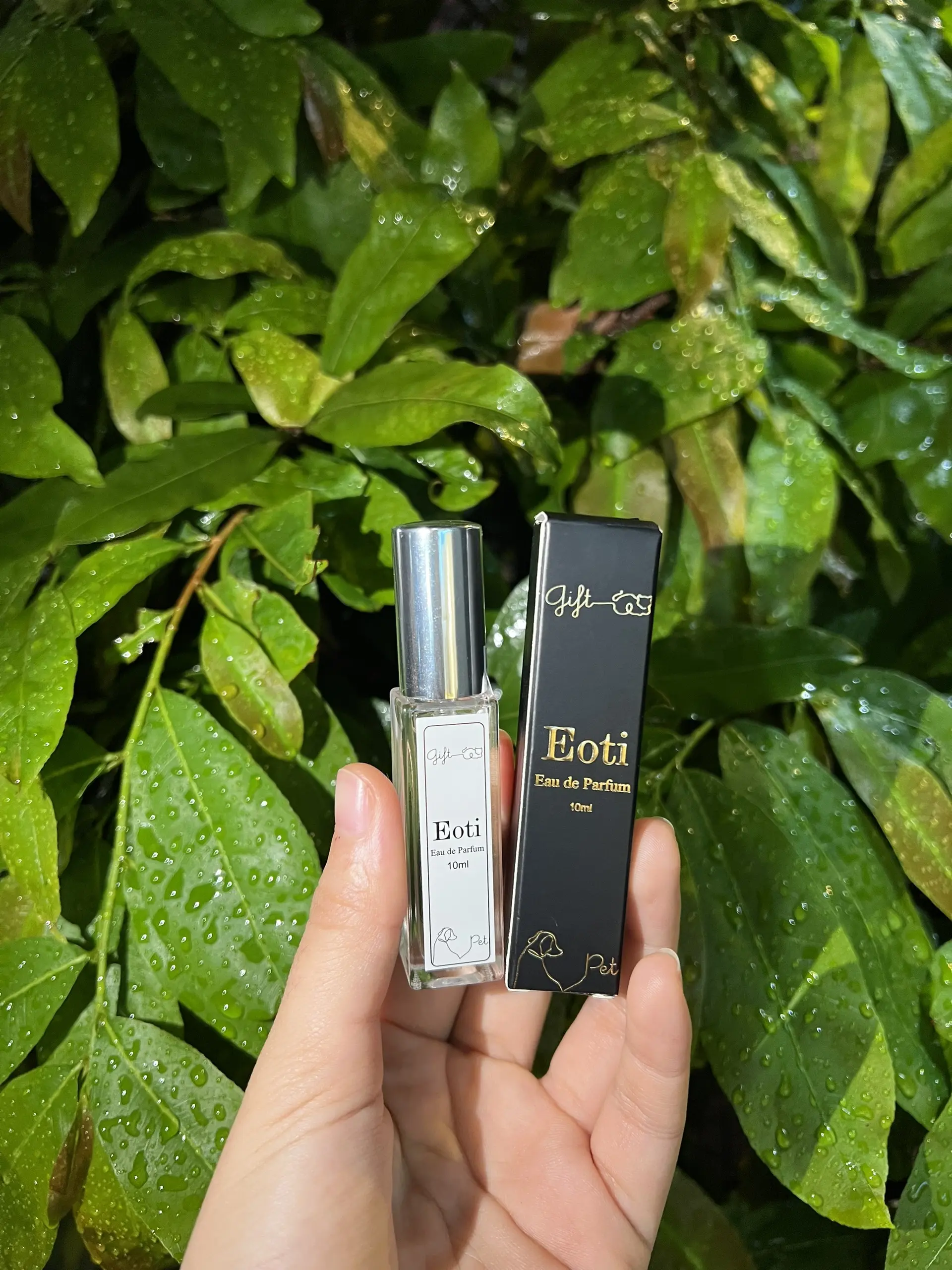 Nước hoa dành cho thú cưng Eoti Pet 10ml