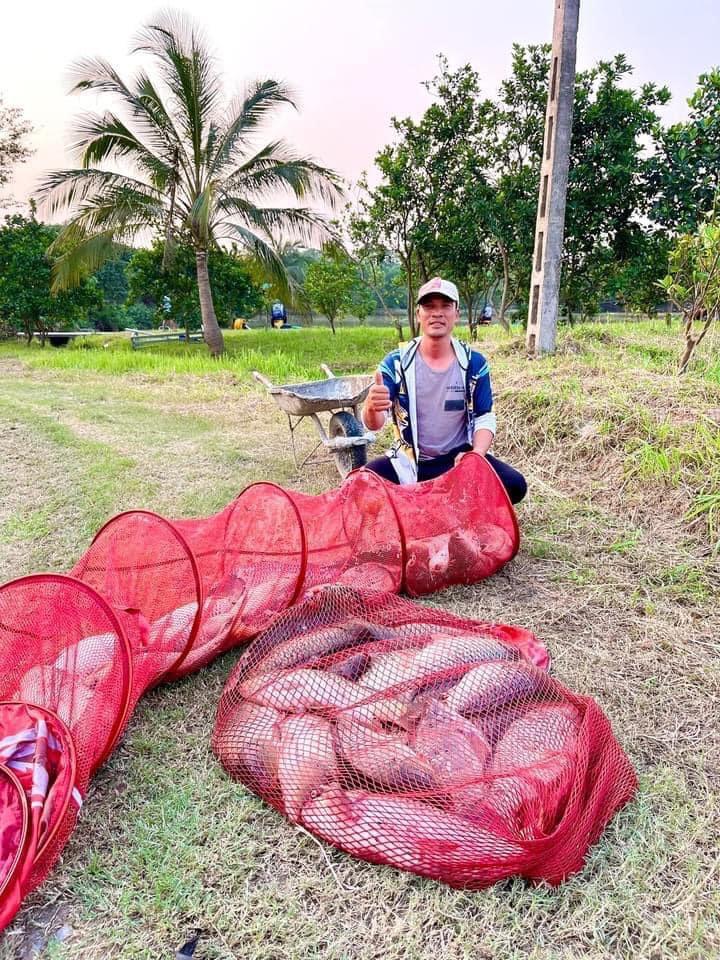 Product Introduction of Cám Chuyên Chép Thế Anh Fishing ( 600g ) bao móm hạng nặng cho anh em câu đài dịch vụ và tự nhiên. Phù hợp với cả chép cũ chép mới . Chép giòn chép thường #cauca #fishing#fish#bigfish#ThếAnhFishing Đi Câu Câu Cá Bắt Cá 21