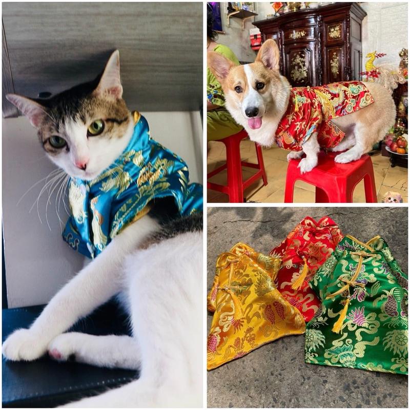 Áo dài Tết cách Tân truyền thống vải gấm cho chó mèo siêu xinh - Bunbinpetshop