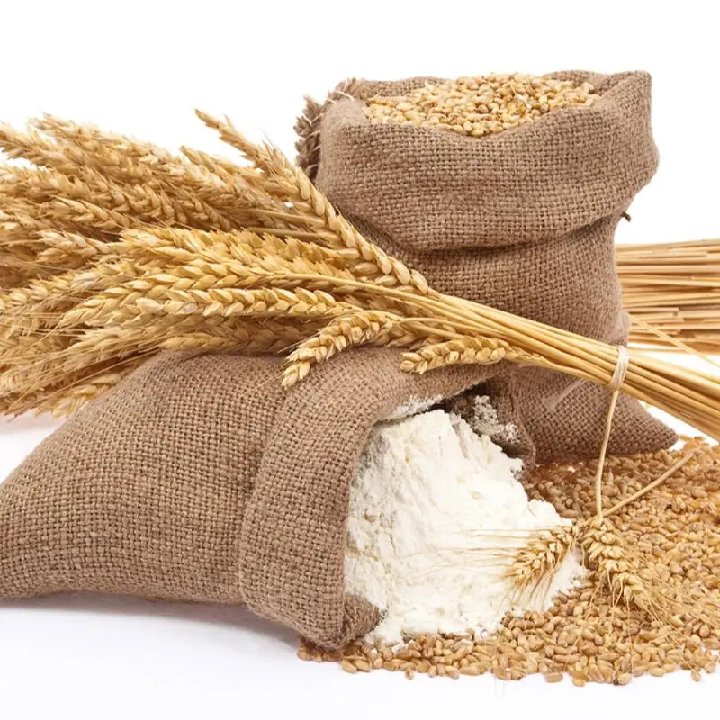 Dầu Cám gạo nguyên chất (Rice Bran) 100ml Cấp nước Da khô Da nhạy cảm Không chứa cồn Skincare Nữ Women Serum Nho 3