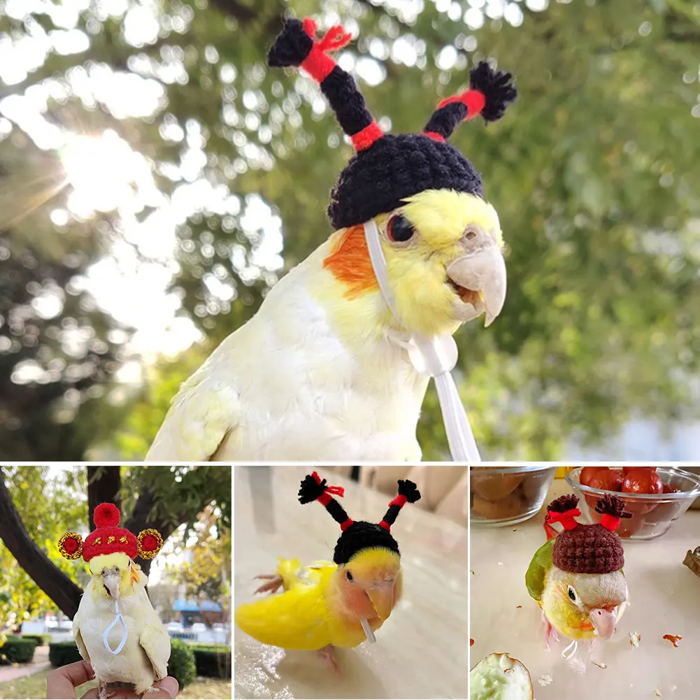 Pet Hamster Budgerigar Cockatiel Peony Parrot Bird Hat Wool Crochet Knitted Parrot Hat Small Animals Mini Hat Birds Toys #464685