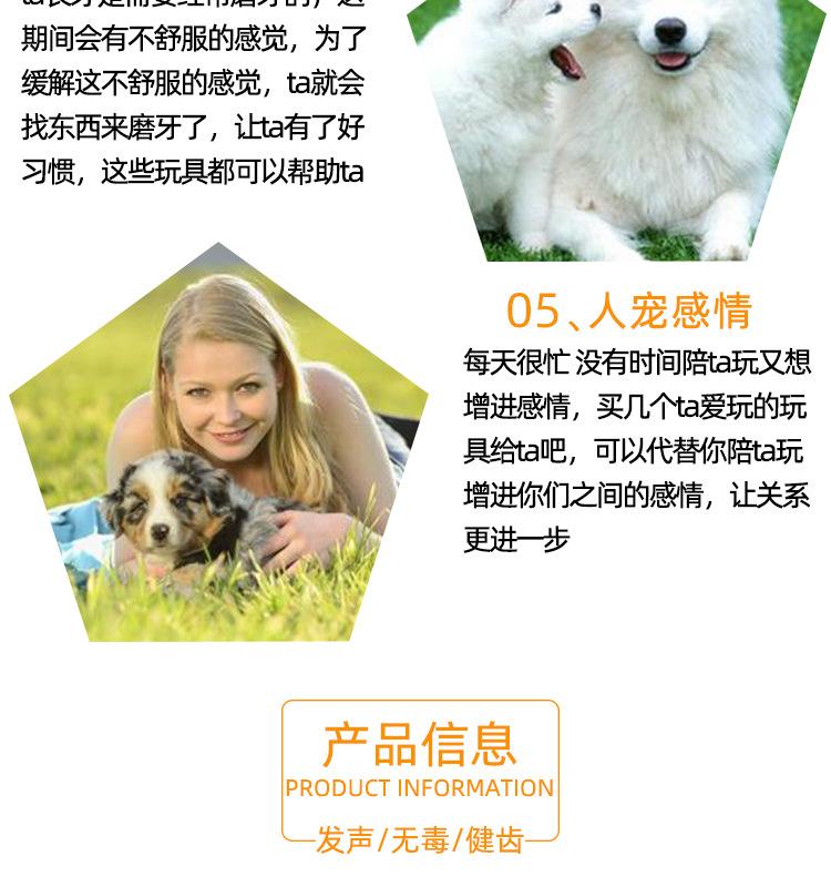 Product Introduction of Pet Toy Screaming Chicken Sound Toy Screaming Chicken Molar Dogs and Cats Bite-Resistant Decompression Toy Supplies 4