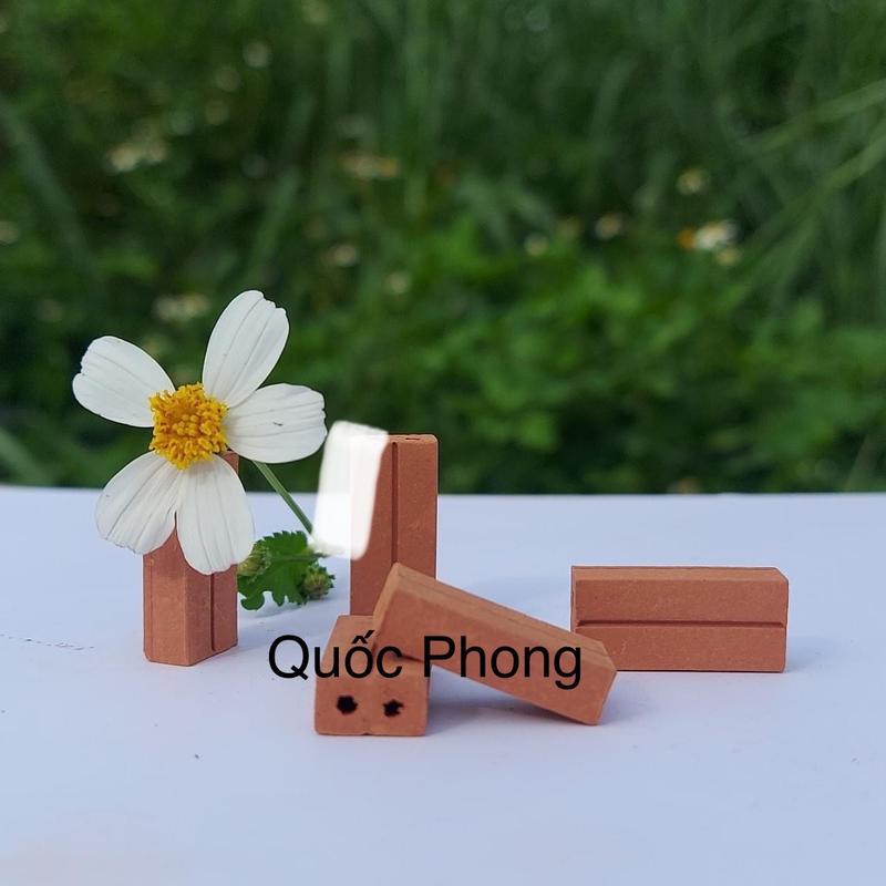 100viên- Gạch ống hai lỗ mini 20*10*10 gạch đất sét nung xây mô hình tiểu cảnh