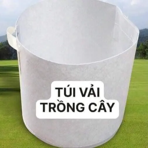 Chậu Vải Địa Cao 50 Rộng 50 - Túi Vải Trồng Cây - Chất Liệu Vải Địa Chịu Nắng Mưa Tốt
