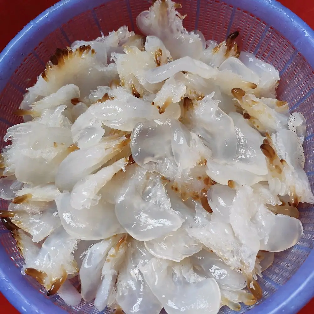1kg sứa chân chưa xả mặm tại hải sản tuấn chương