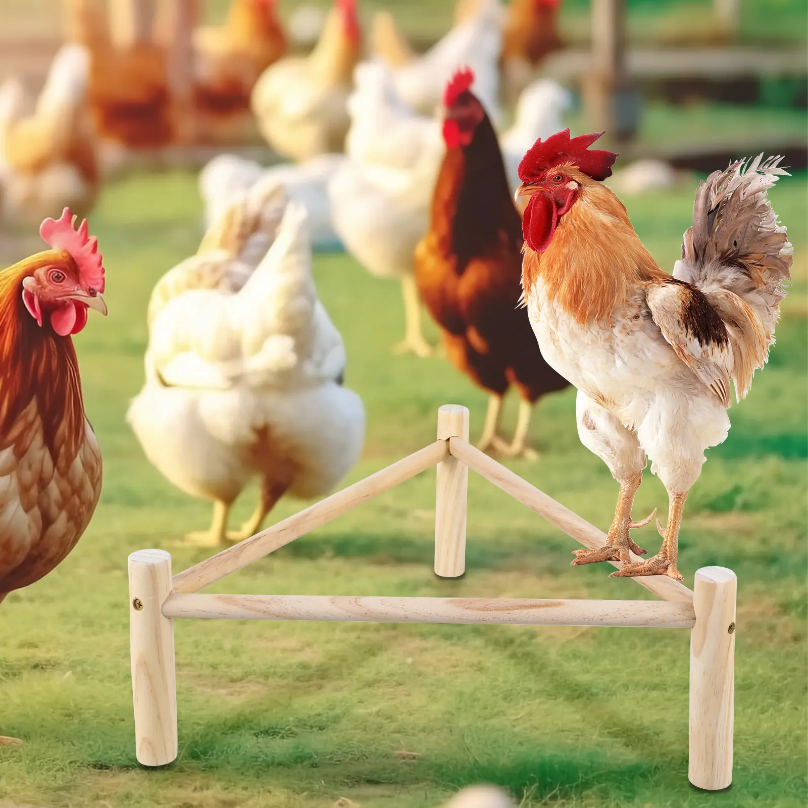 Chicken Perch Strong Wooden Roosting Bar Chicken Cage Accessories Chick Wooden Perch 16.5×6.2 Inch Training Chicken Stand Toy for Bird Parrots Macaw Chicken 0W834