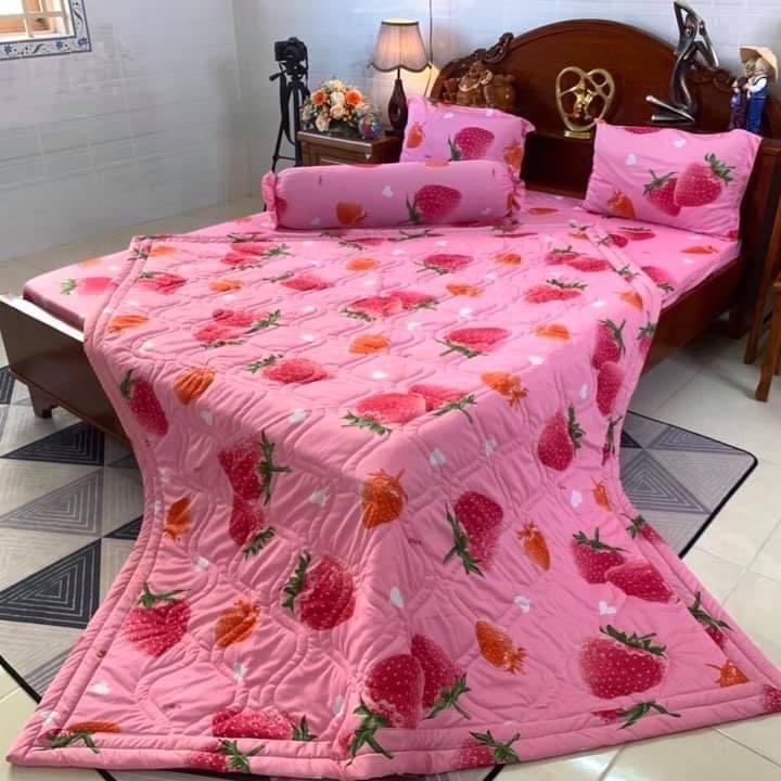 Bộ ga thun Hàn quốc mẫu dâu 5