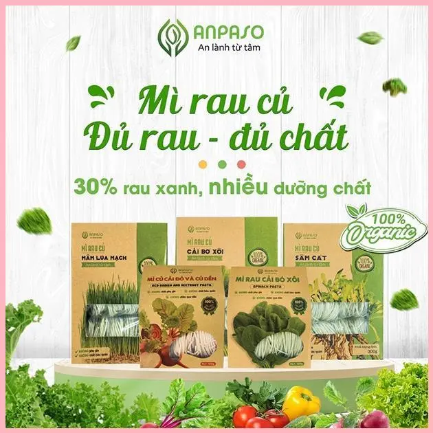 IUJSHERSHOP Mì Rau Củ Hữu Cơ Anpaso - XanhSam Organic 2