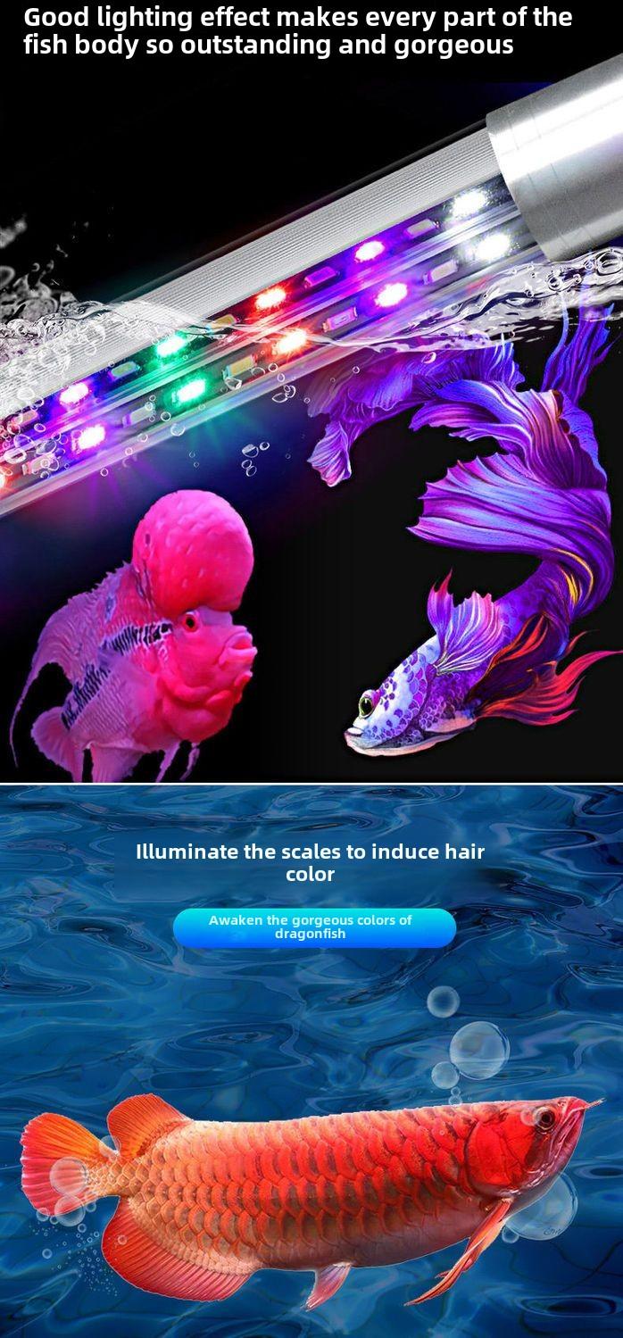 Product Introduction of Fish Tank Light LED Waterproof Lighting Aquarium Submersible Dragon Fish Light Super Bright Color Enhancing Small Tri-Color Fish Tank Light 7