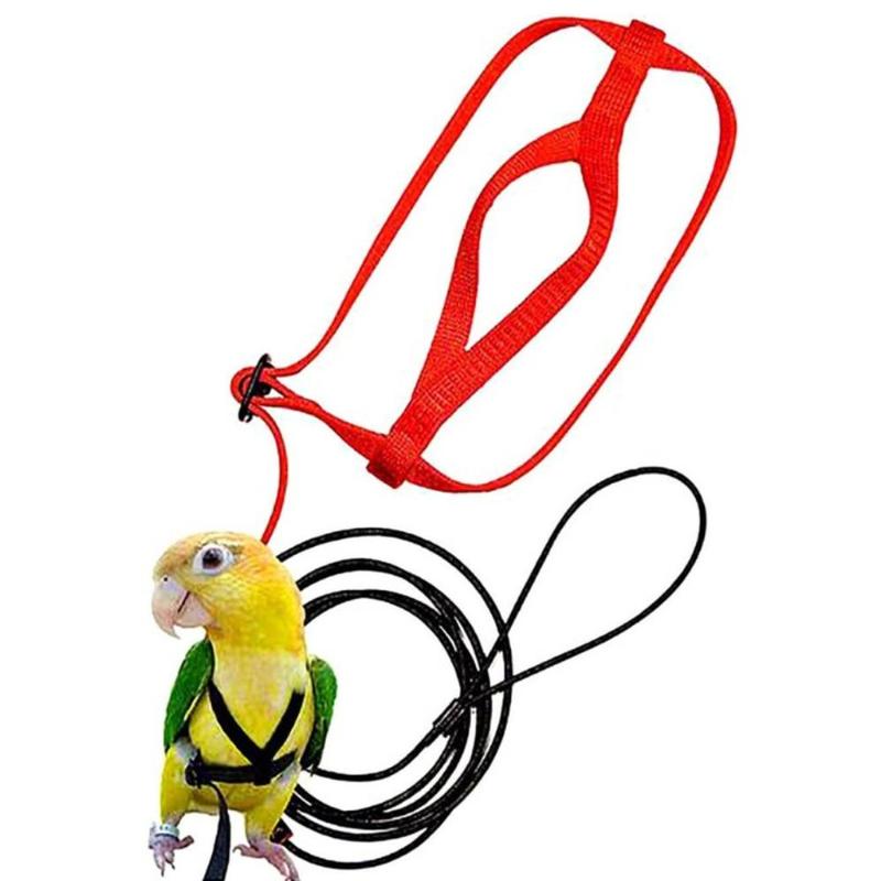 Outdoor Parrot Bird Leash Adjustable Harness Training Rope Anti Bite Flying Band Soft comfortable Parrot Leash bird accessories 0