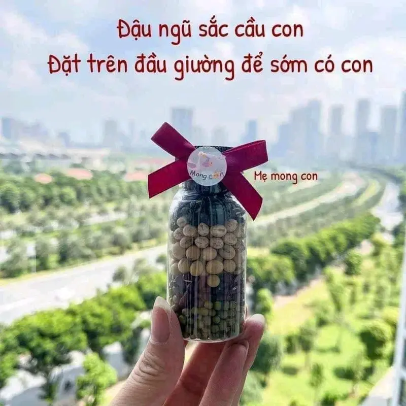Đậu Ngũ sắc May Mắn để Đầu giường cho các mẹ mong con 3