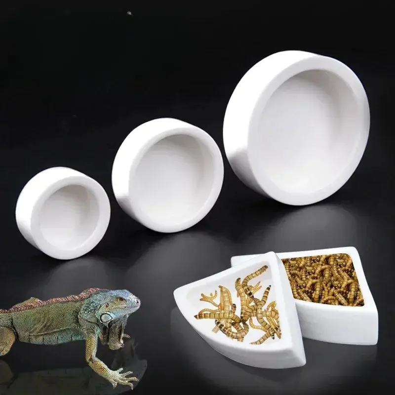 Reptile Food Bowl Turtle Feeder Crawl Ceramic Pet Tortoise Feeding Basin Lizard Water Dish Ceramics Turtle Accessories