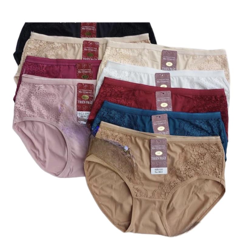 Combo 5 quần chip nữ thun lạnh cạp cao phối ren bigsize 55 - 75kg mềm mịn co dãn thoáng mát Women bikiningo cchinh