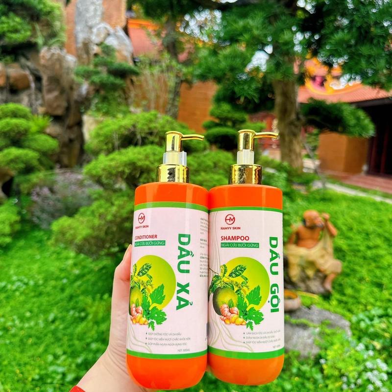 Combo dầu gội + xả ngải cứu bưởi gừng Hamyyskin