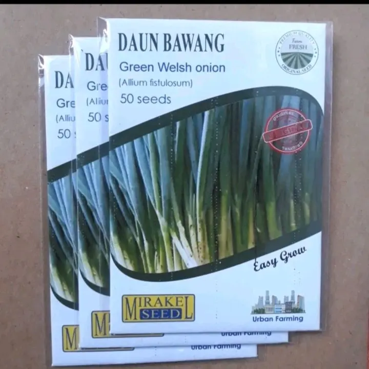 PROMO BENIH DAUN BAWANG 50 SEED