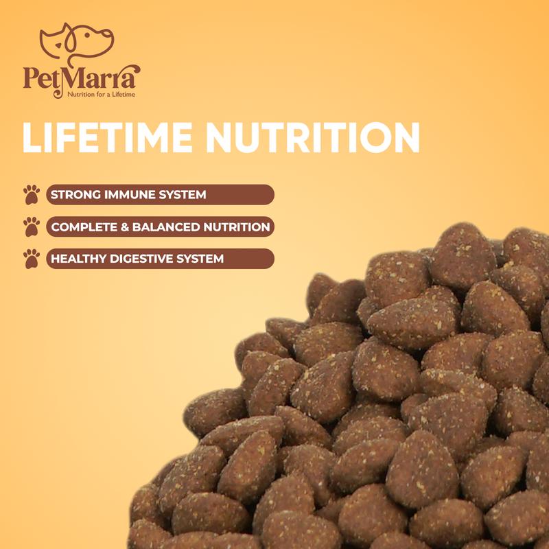 Product Introduction of PetMarra Adult Dog / Puppy Dry Food Beef Milk Liver and Chicken Flavor 1kg Flavor Collection dogs puppies kibble pets 21