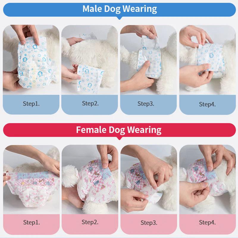 Product Introduction of 10pcs Dog Diapers Males Females Disposable Nappies Pants Physiological Underwear Adjustable Leakproof Breathable Safety Pants 4