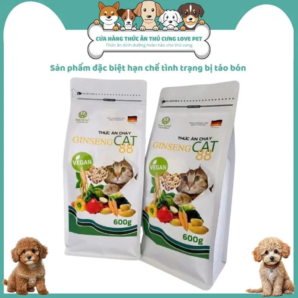 Thức Ăn Hạt Chay Cho Mèo Lớn Ginseng Cat Wincat Gói 600Gr yumi hat meo roccat kone pro h20 fitmin kucinta  400g