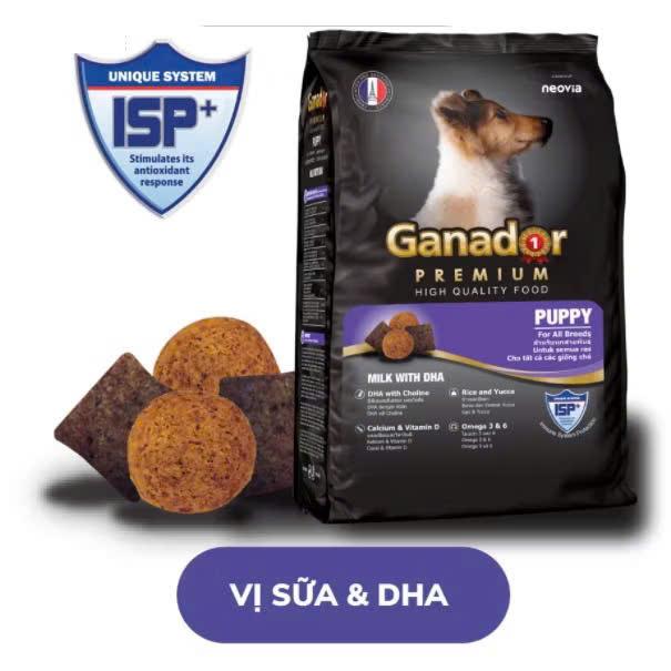 Olong Studio_ Thức ăn cho chó vị sữa Ganador Puppy Milk with DHA