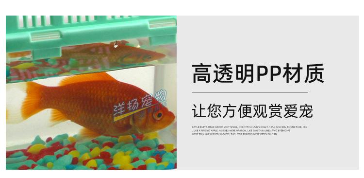 Product Introduction of Aquarium Turtle box drop-resistant pet box portable small fish tank stall portable transparent fish globe turtle jar Beta Tank 5