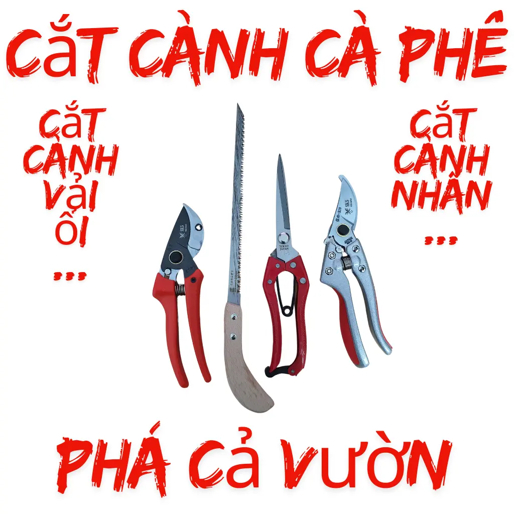 Kéo SK5, COMBO Cặp Kéo cắt cành cà phê, Cắt cành cà fe, Kéo Nhật, Kéo Nhật Bãi, Kéo lưỡi có đe, Kéo Đức, Kéo J302, combo cặp kéo làm vườn, kéo cắt cành nhật bản, combo lam bodung  cucat kéo  cắt dung  culam bộ  dụng combo  9mon kéo  cắt  cành  cà  phê