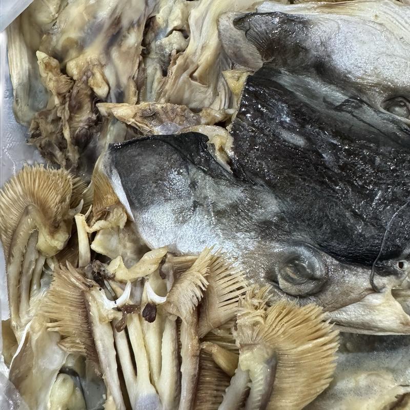  Đầu Khô Cá Tra Phồng Biển Hồ Campuchia food 