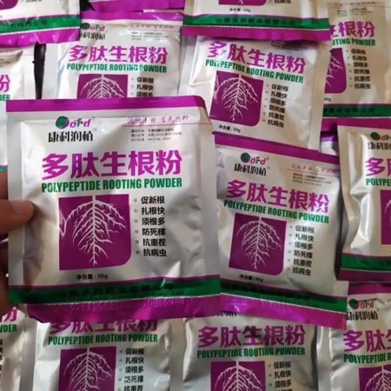 Gói kích rễ màu tím cho cây trồng  Polypeptide Rooting Powder gói 30g