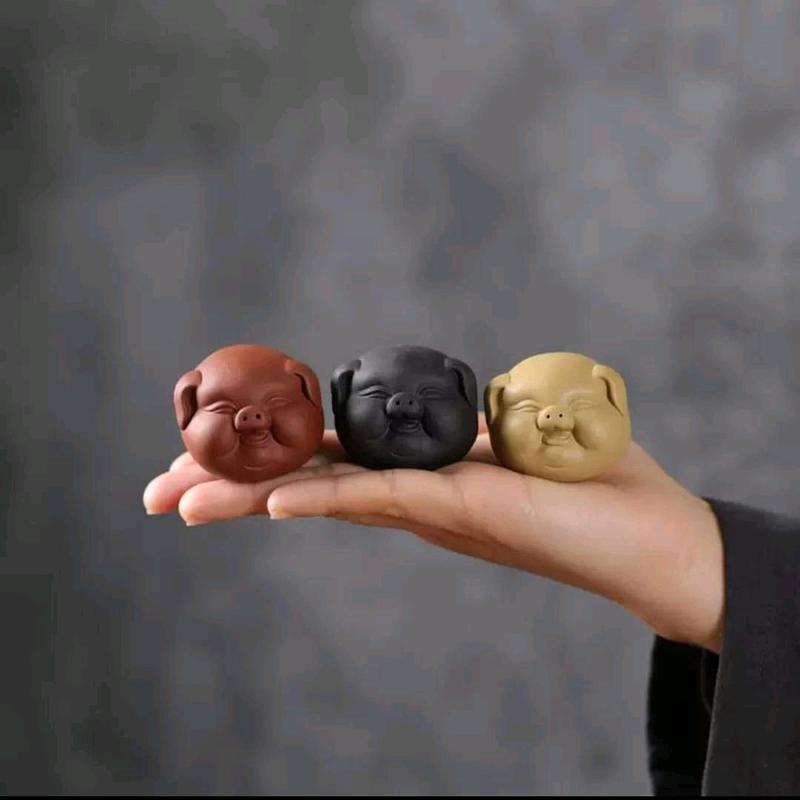 pet Heo để bàn trà 0