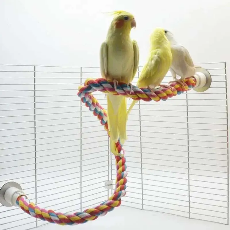 Molar Durable Cotton Rope Multi-color Standing Perches for atiel Parrot Cage Pet Bird Toy