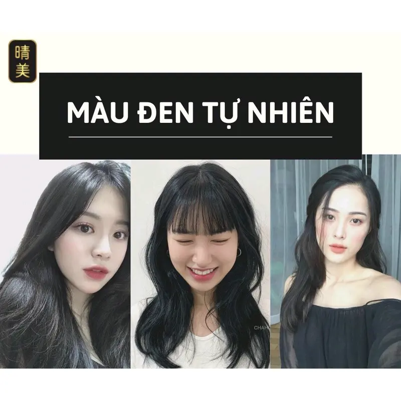 Dầu gội phủ bạc thảo dược Komi , dầu gội nhuộm tóc thảo dược Nhật Bản màu hộp 10 gói x 25ml 2