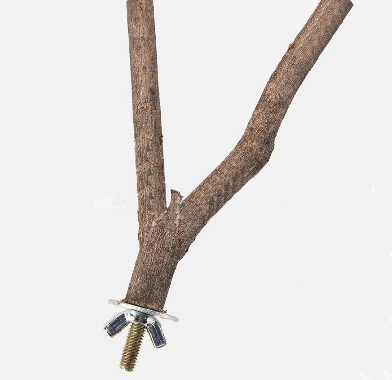 Product Introduction of Pet Parrot Raw Wood Fork Stand Rack Toy 1Pcs 15cm Branch Perches for Bird Hamster Cage Accessories Supplies Bird Playground 21