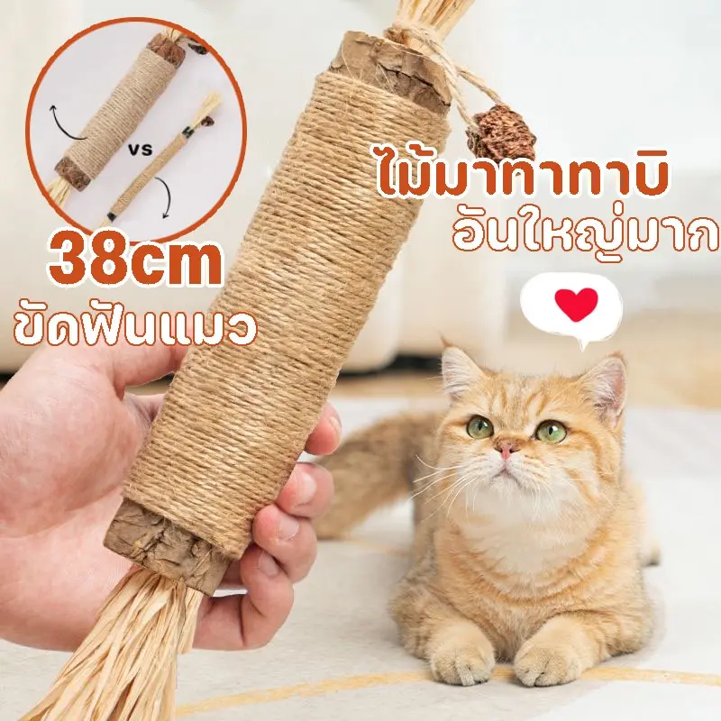 BHQ(38cm) อันใหญ่มาก ไม้มาทาทาบิ  ขัดฟันไม้ ไม้ขัดฟันแมว ของเล่นแมว ก้านมาทาทาบิ ไม้แปรงฟันแมว