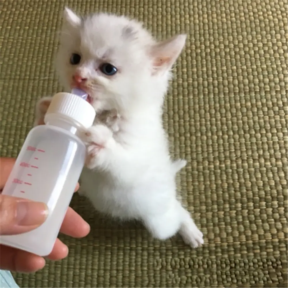 Bình Sữa Mini Bền Cho Chó Và Mèo Sơ Sinh, Bình Sữa Gia Dụng Di Động Cho Mèo Con, Bình Nuôi Thú Cưng, Động Vật Nhỏ, Bình Nước Cho Thú Cưng Ăn, 60Ml