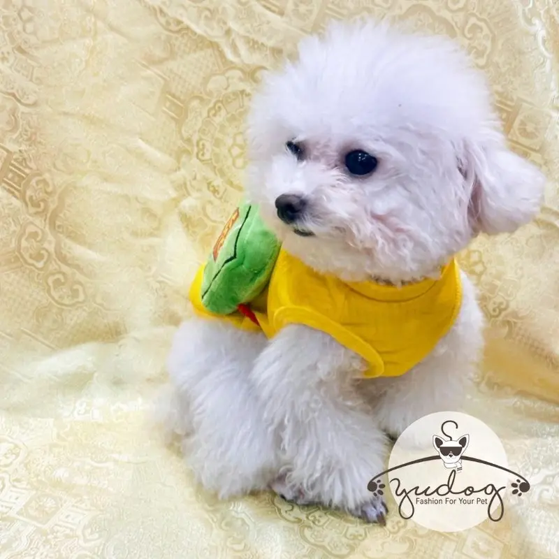 Áo bánh chưng tết cho chó mèo yudog 5