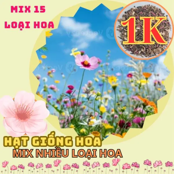 Hạt giống hoa mix nhiều loại nở quanh năm – dễ trồng dễ sống - trồng chậu, sân vườn