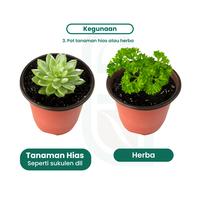Gambar Pot Nursery 100 / Pot Elastis 8,5 cm - Serbaguna untuk Bibit Sayur & Bunga - Benih Seribuan - POT NURSERY 100 dari Benih Seribuan Kab. Boyolali 5 Tokopedia